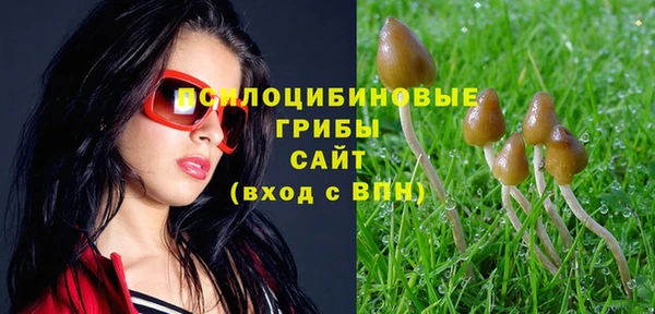 прущая мука Новокубанск