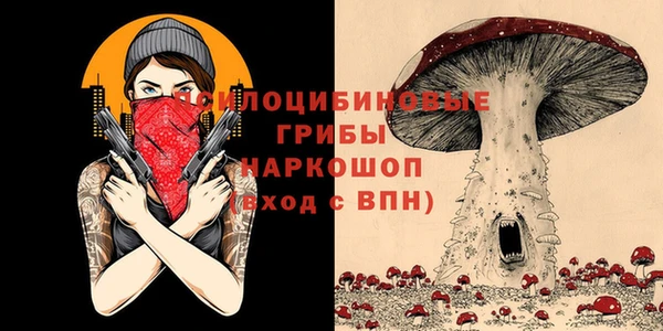каннабис Новодвинск