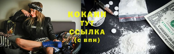 ешки Апатиты