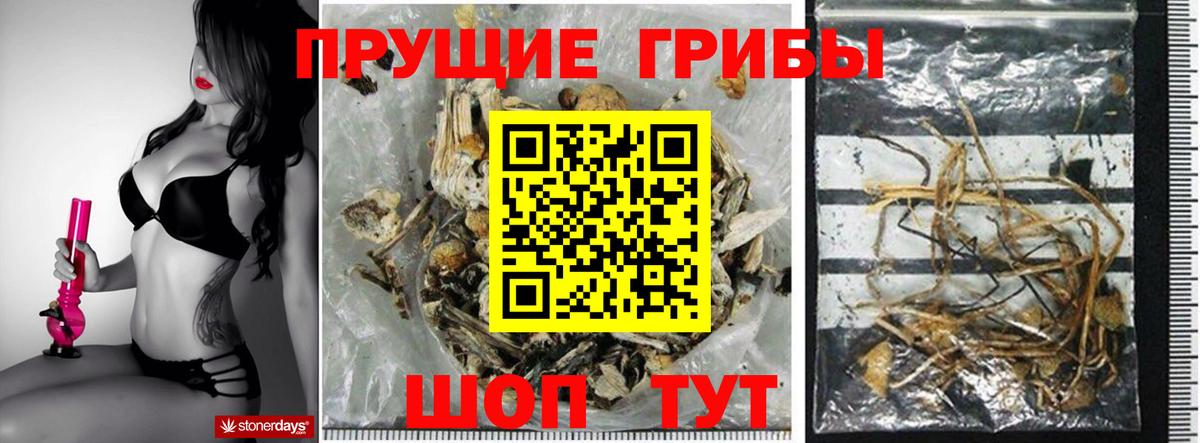 Псилоцибиновые грибы GOLDEN TEACHER Ижевск